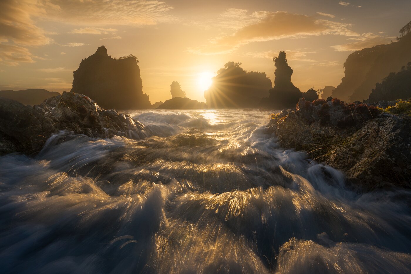 본문 이미지 - 피오르랜드의 해안가 풍경ⓒWilliam Patino  