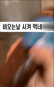 본문 이미지 - (온라인 커뮤니티 갈무리) ⓒ 뉴스1