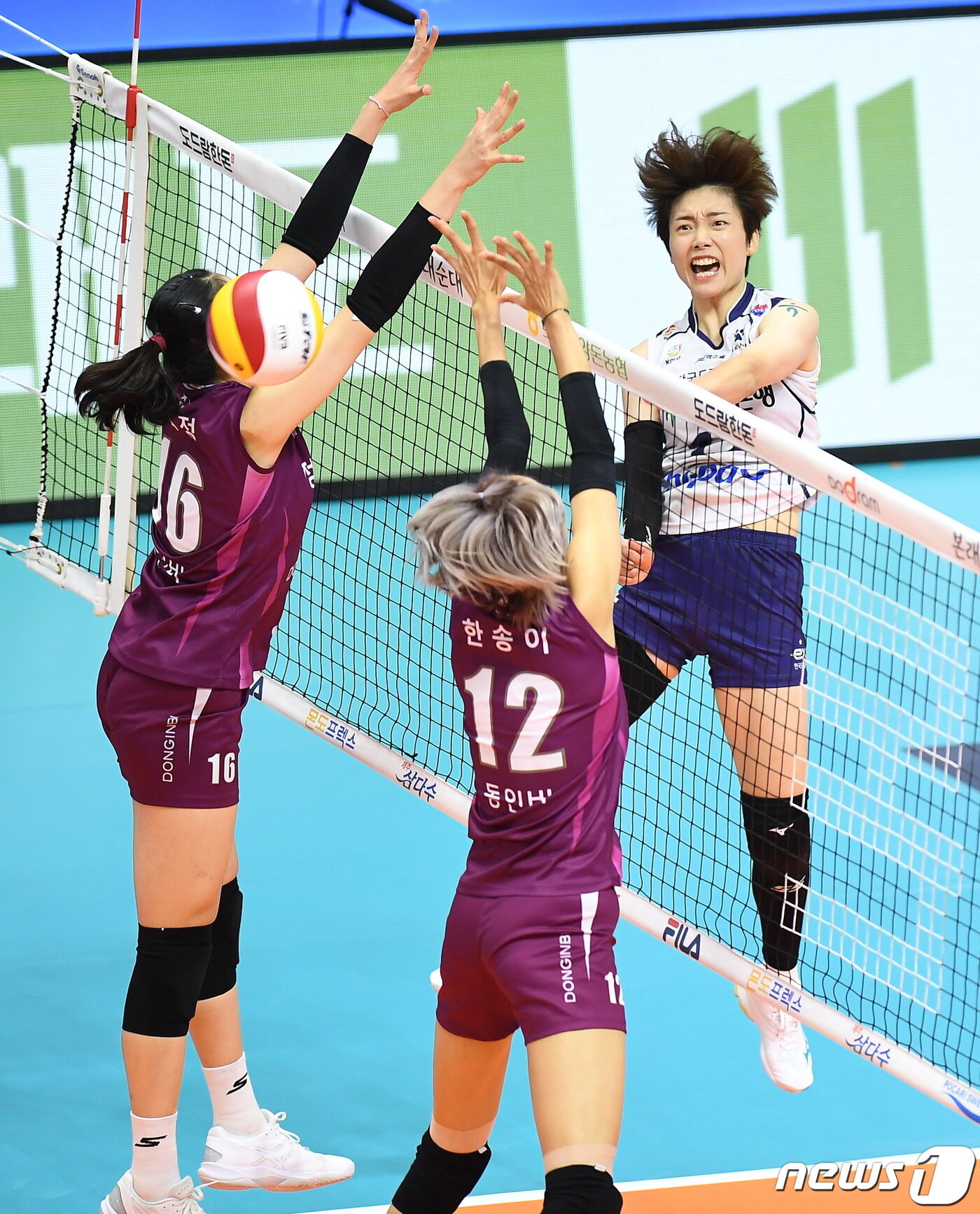 본문 이미지 - 한국도로공사의 레프트 문정원. (한국배구연맹 제공) ⓒ 뉴스1