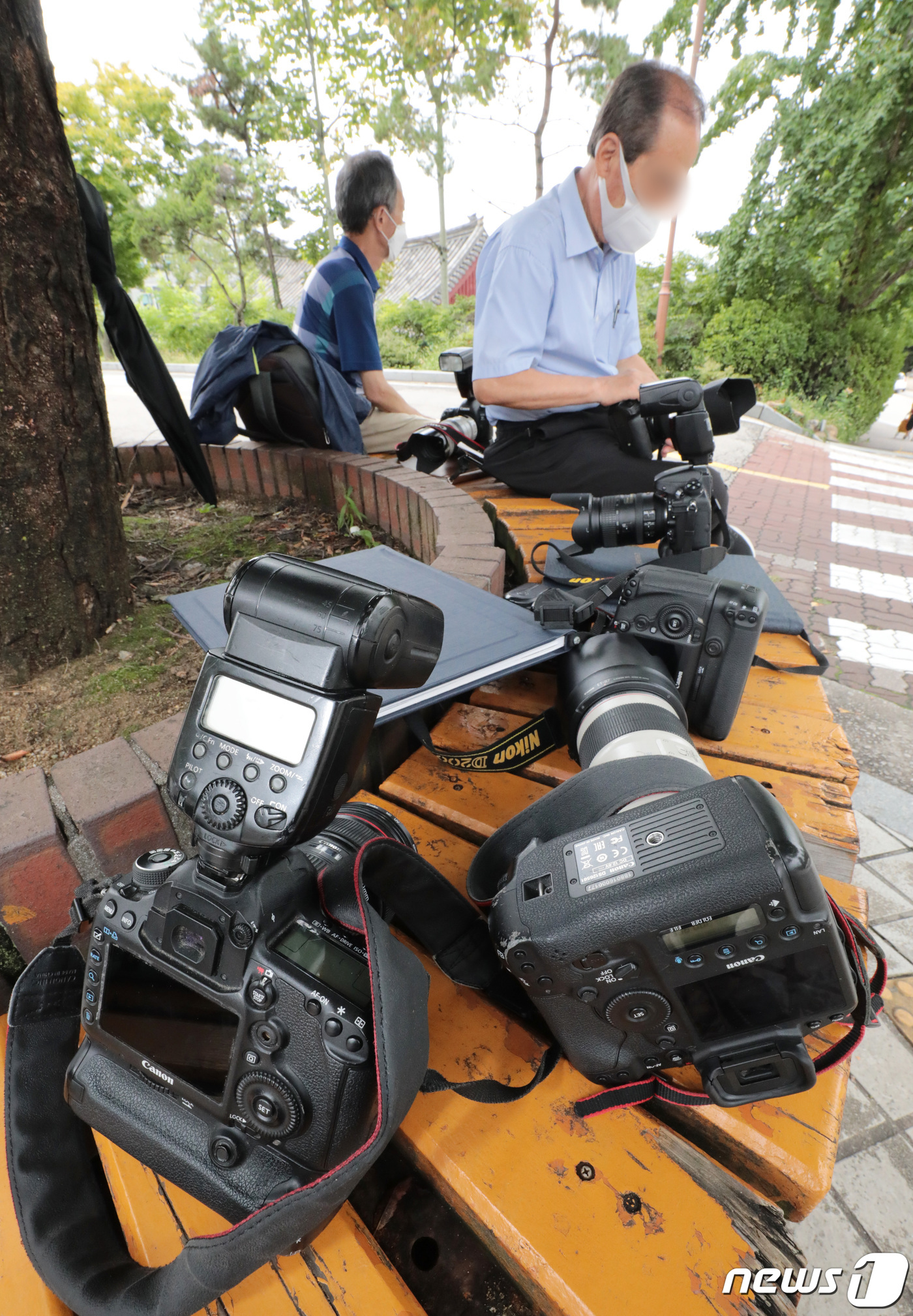 (서울=뉴스1) 이성철 기자 = 25일 서울 종로구 성균관대학교에서 졸업사진 사진사들이 졸업생을 기다리고 있다. 성균관대학교는 이번 여름 학위수여식을 25일 오전 학교 홈페이지와 …