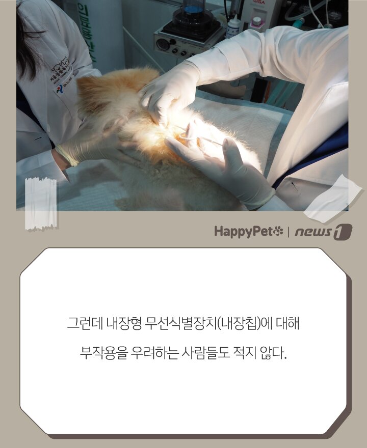 본문 이미지 - ⓒ 뉴스1