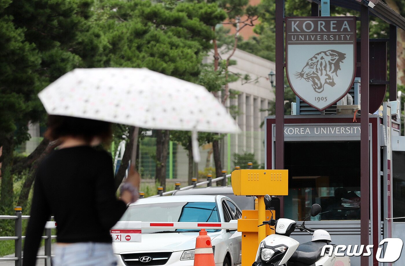 본문 이미지 - 서울 성북구 고려대학교에서 한 학생이 발걸음을 옮기고 있다. /뉴스1 ⓒ News1 박세연 기자