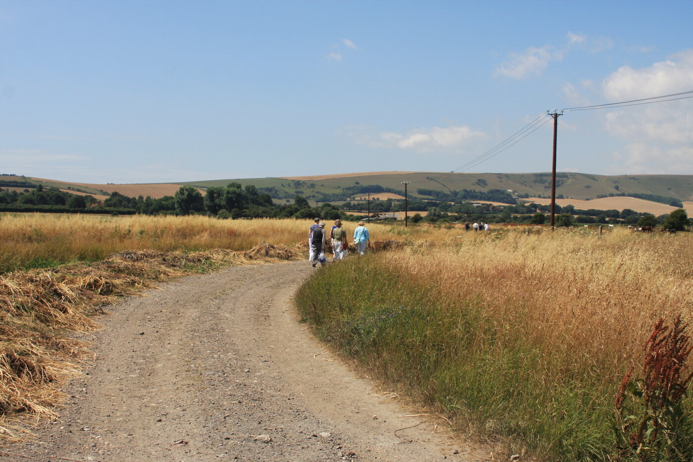 본문 이미지 - 버지니아 울프가 오후에 샐리와 함께 산책을 가곤 하던 우즈강으로 향하는 길. 조성관 작가 제공