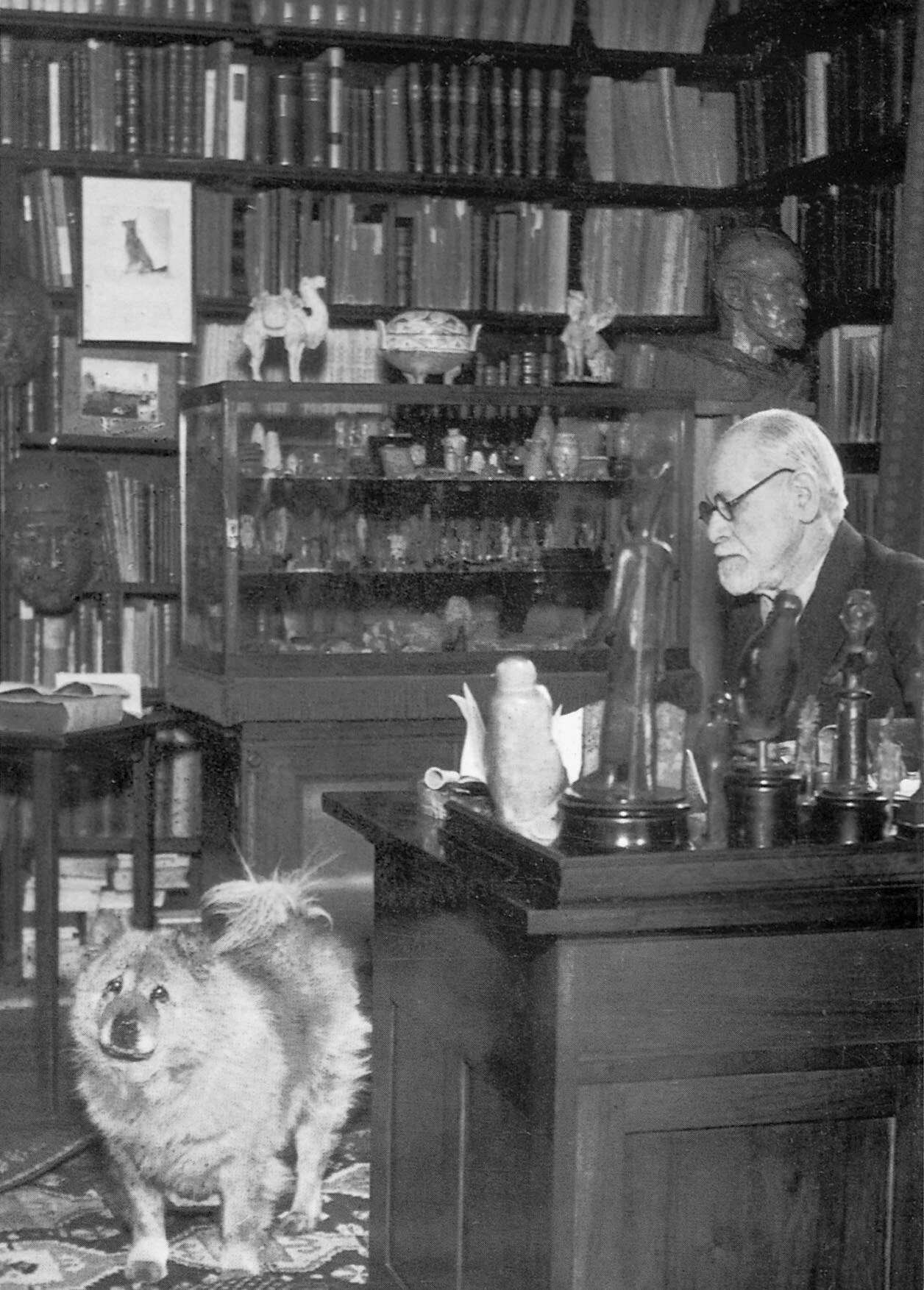 본문 이미지 - 서재에서 프로이트 곁을 지키는 차우차우종 조피 / 사진출처 = 위키피디아