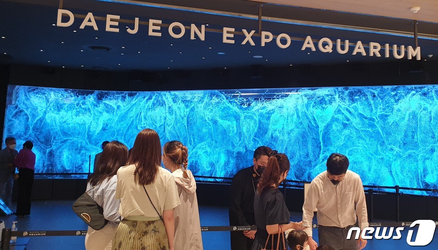 본문 이미지 - 대전신세계 지하 1층 아쿠아리움 21.08.25/뉴스1 ⓒ 뉴스1 이비슬 기자