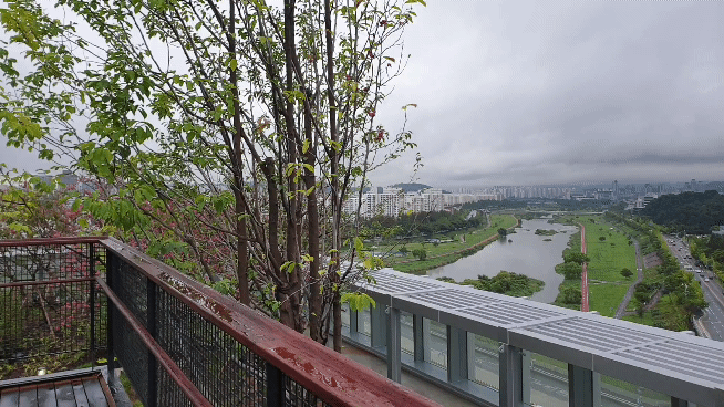 본문 이미지 - 대전신세계 옥상정원 21.08.25/뉴스1 ⓒ 뉴스1 이비슬 기자