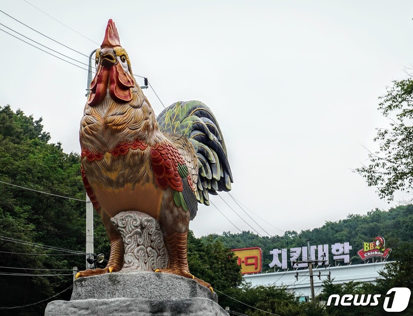 본문 이미지 - 경기 이천 소재 BBQ 연수원 격인 치킨대학 전경 ⓒ 뉴스1 황덕현 기자