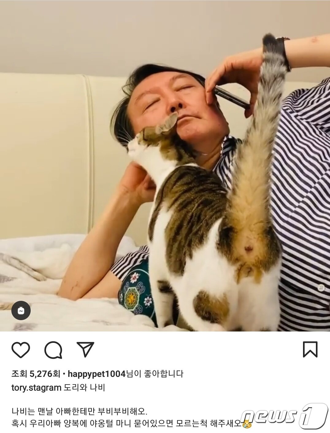 본문 이미지 - 윤석열 전 검찰총장이 지난달 24일 반려동물 인스타그램 계정 '토리스타그램'에 반려묘 나비와 헤드 번팅을 하는 영상을 공유했다.(인스타그램 갈무리)ⓒ 뉴스1