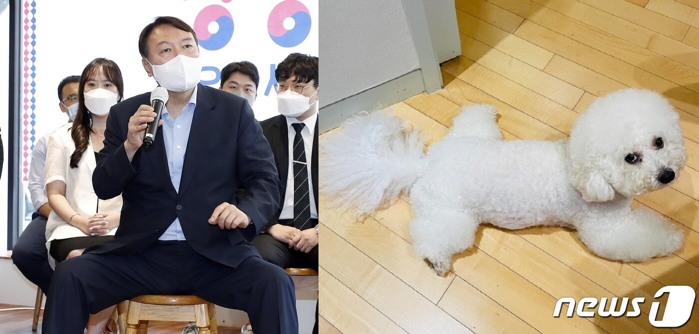 본문 이미지 - 윤석열 전 검찰총장과 반려견 마리ⓒ 뉴스1