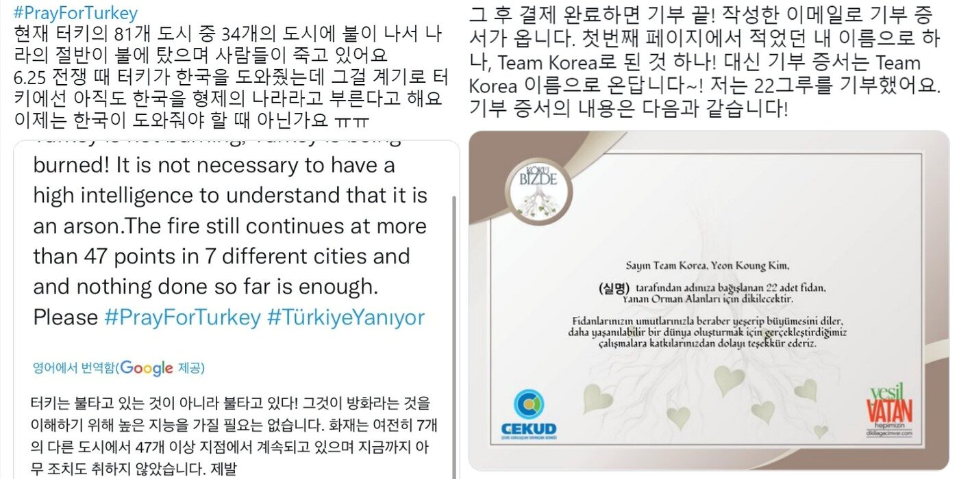 본문 이미지 - 한국 누리꾼들이 터키 산불 소식에 묘묙 기부에 나서는 등 따뜻한 위로를 전하고 있다. &#40;트위터 갈무리&#41; ⓒ 뉴스1