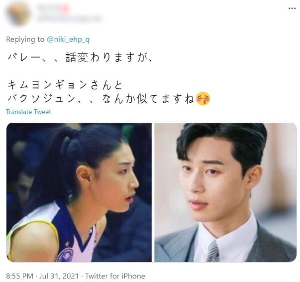 본문 이미지 - 한 일본 누리꾼은 김연경과 배우 박서준의 외모가 닮았다고 주장하기도 했다. (트위터 갈무리) ⓒ 뉴스1