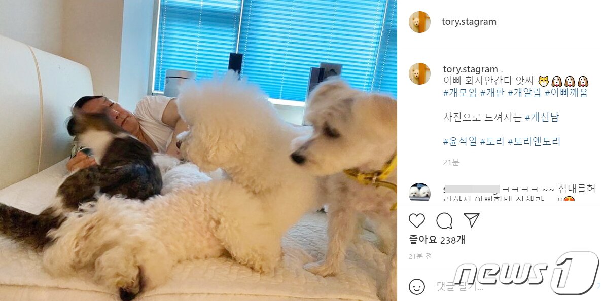 본문 이미지 - 윤석열 당선인이 서울 서초구 자택에서 반려동물들과 함께 있는 모습. (반려견 인스타그램 '토리스타그램'캠처) 2021.8.6/뉴스1