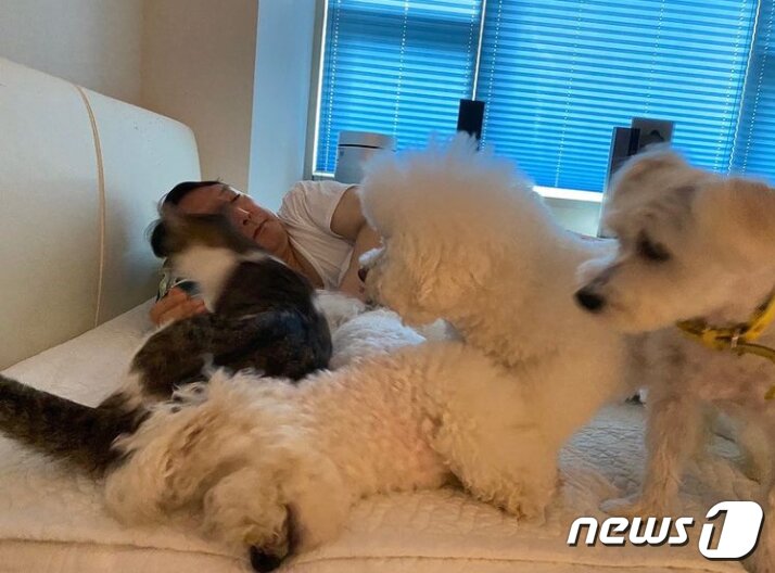 본문 이미지 - 여름휴가 중인 윤석열 국민의힘 대선 예비후보가 6일 인스타그램을 통해 반려견, 반려묘들과 함께 시간을 보내는 모습을 공개했다.(인스타그램 tory.stagram 캡처) 2021.8.6/뉴스1