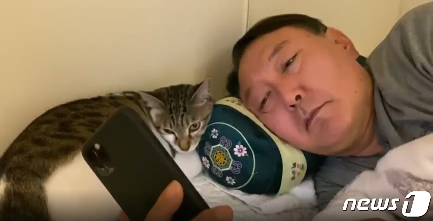 본문 이미지 - 윤석열 후보와 반려묘 나비