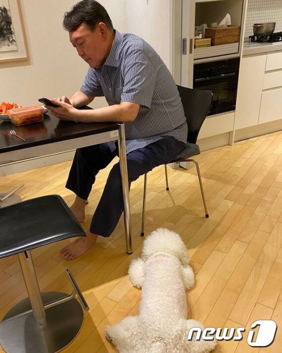 본문 이미지 - 윤석열 후보와 반려견