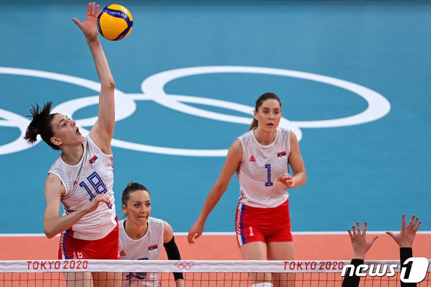 본문 이미지 - 세계최고의 라이트 공격수로 꼽히는 보스코비치 ⓒ AFP=뉴스1