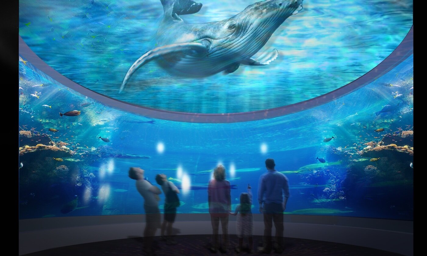 본문 이미지 - 대전신세계 대전 엑스포 아쿠아리움(신세계 제공)ⓒ 뉴스1