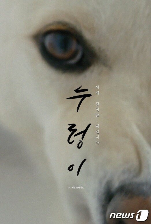 본문 이미지 - 영화 '누렁이' 포스터 (저스트 브라이트 프로덕션즈 제공) ⓒ 뉴스1ⓒ 뉴스1