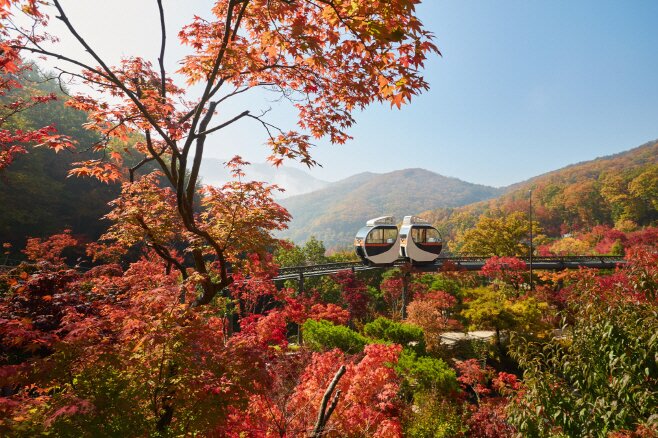 본문 이미지 - 경기도 광주 '화담숲'