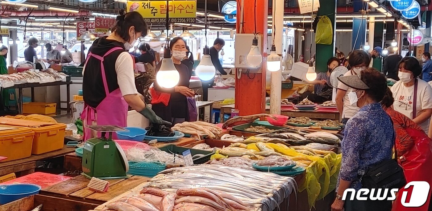 본문 이미지 - 한림항과 인접해 있어 한림오일장에는 싱싱한 제철 수산물들이 즐비하다. 물건값을 놓고 흥정하는 소리도 정겹게 들려온다. ⓒ 뉴스1