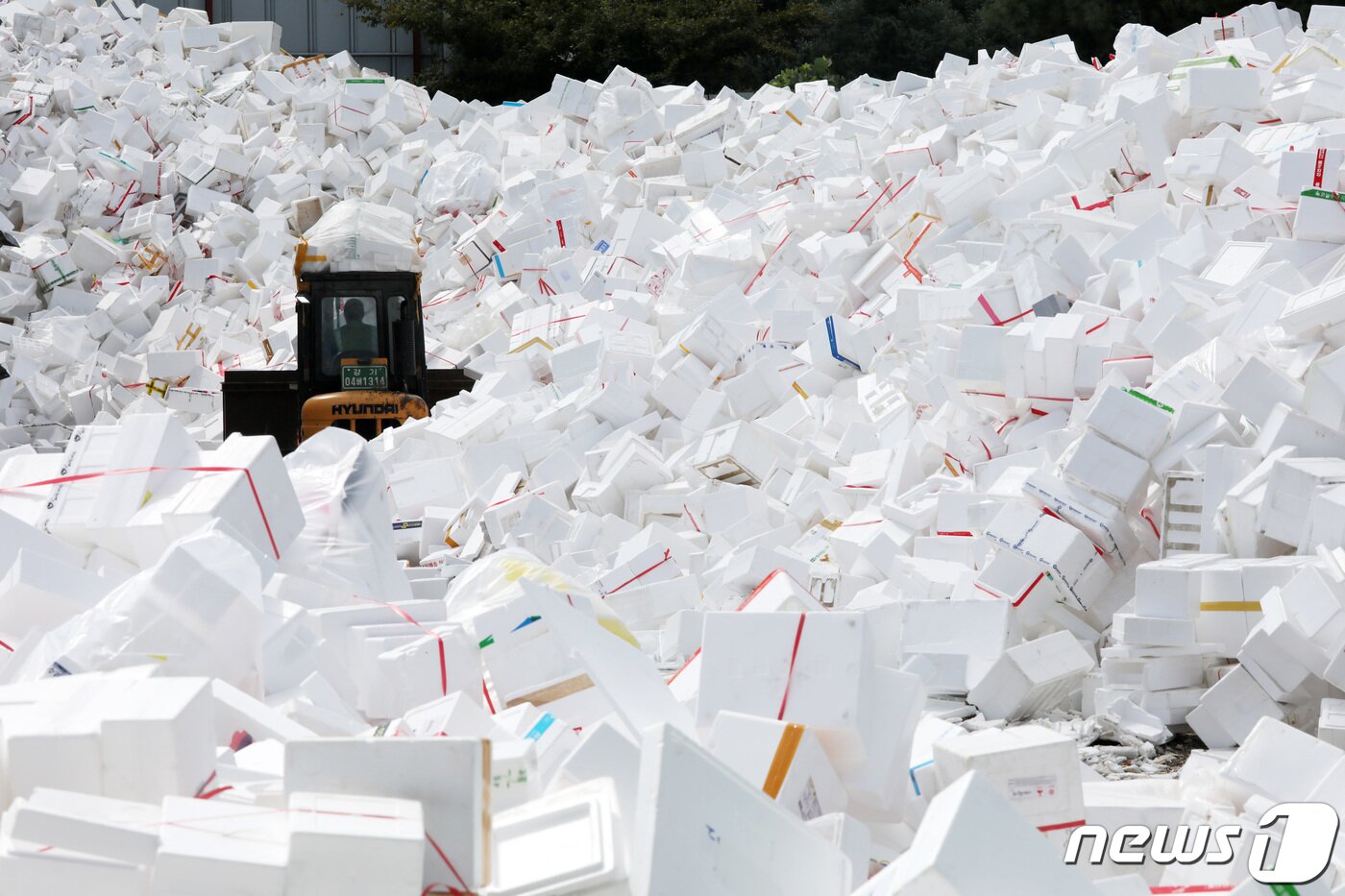 본문 이미지 - 추석 연휴를 사흘 앞둔 15일 오후 경기도 수원시자원순환센터에 선물 및 식품 포장 용기로 사용 후 배출된 스티로폼 상자들이 쌓여있다. 2021.9.15/뉴스1 ⓒ News1 조태형 기자