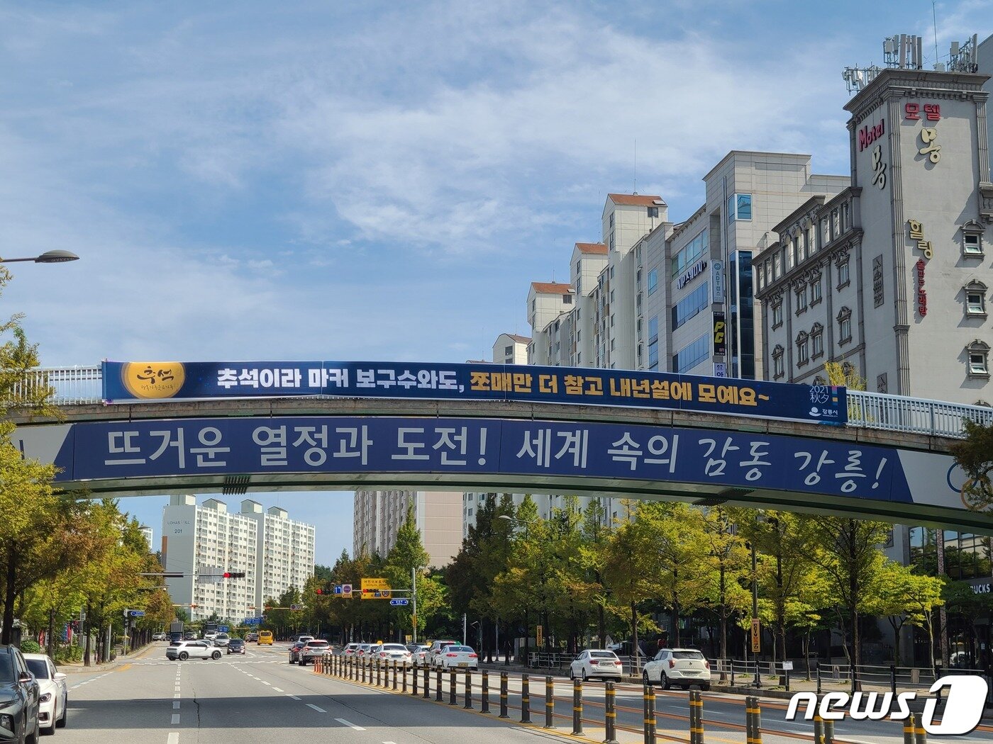 본문 이미지 - 강릉시가 제작한 고향방문 자제 현수막.2021.9.17/뉴스1 윤왕근 기자