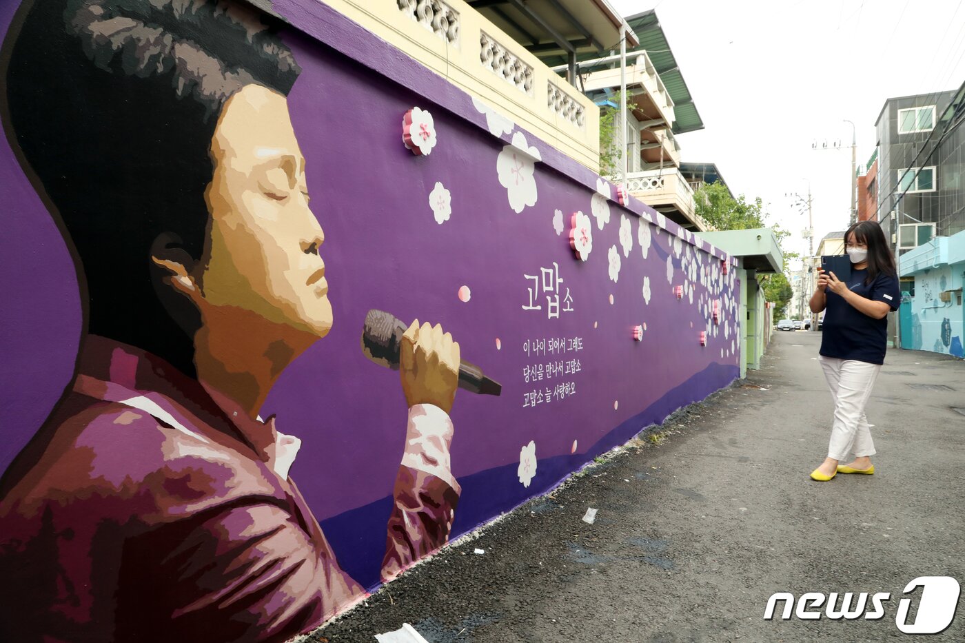 본문 이미지 - 경북 김천예고 옆 교동연화지로 가는 골목길에 조성된 '트바로티 김호중 소리길'에서 팬카페 '아리스' 한 회원이 담장 벽화에 그려진 김호중의 그림을 카메라에 담고 있다. 2021.9.20/뉴스1 ⓒ News1 정우용 기자
