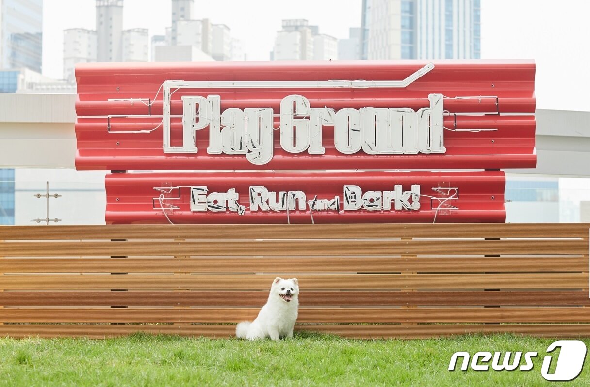 본문 이미지 - 소노캄 고양 내 플레이그라운드(소노캄 고양 제공) ⓒ 뉴스1