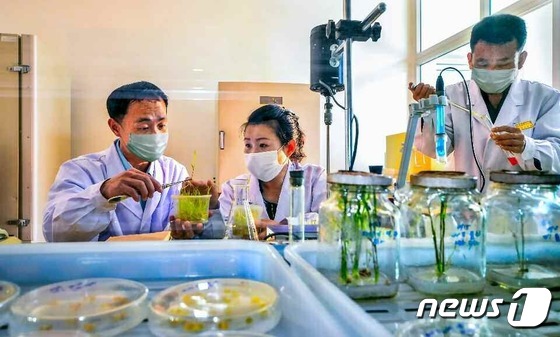 북한 농업연구원 벼연구소 연구지들…\