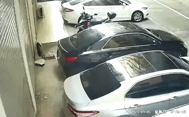 본문 이미지 - 지난 5일 대만의 한 아파트 난간에서 속옷 차림의 여성이 추락하는 사고가 발생했다. (더선 갈무리) ⓒ 뉴스1