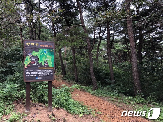 전북 고창군이 고창읍내를 주산인 성산과 방장산을 쉽고 편하게 오르내릴 수 있는 최적의 등산코스를 조성했다. © 뉴스1