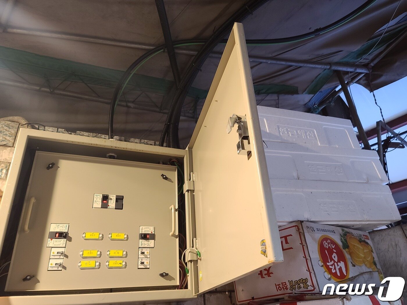 본문 이미지 - 화재예방 설비 구축한 청량리수산물시장 모습 ⓒ 뉴스1 조현기 기자