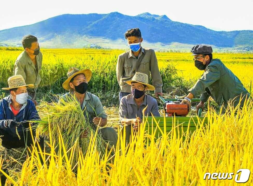 본문 이미지 - (평양 노동신문=뉴스1) =농사 중인 북한 신천군 주민들. [국내에서만 사용가능. 재배포 금지. DB 금지. For Use Only in the Republic of Korea. Redistribution Prohibited] rodongphoto@news1.kr