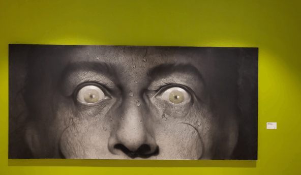 본문 이미지 - 전남국제수묵비엔날레ⓒ 뉴스1