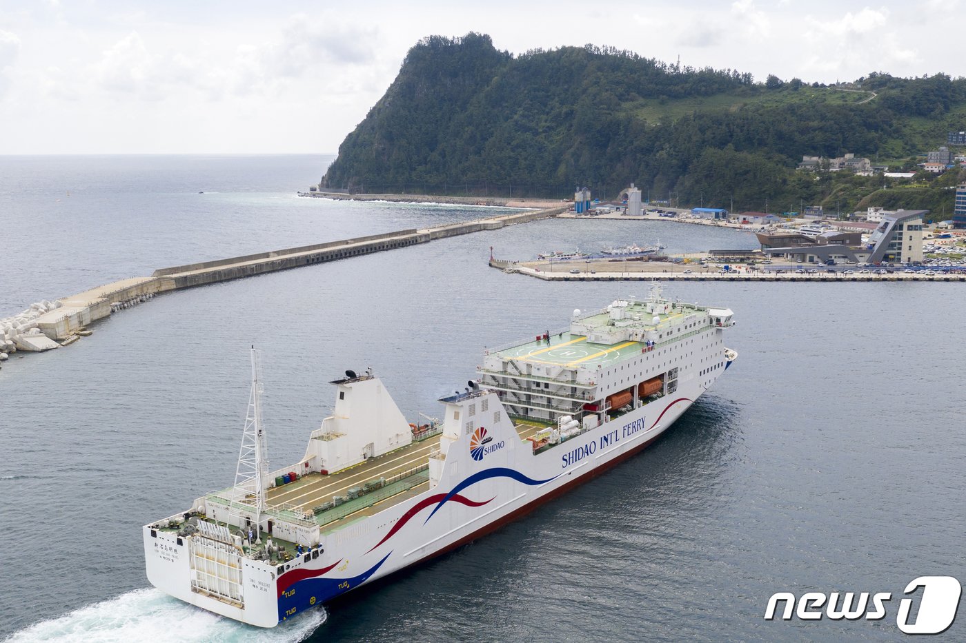 본문 이미지 - 포항~울릉을 운항하는 울릉크루즈의 뉴시다오펄호.(뉴스1 자료)/뉴스1 ⓒ News1 최창호 기자