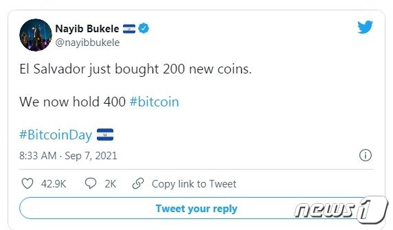 본문 이미지 - 비트코인 매입을 알리는 부켈레 대통령 트위터 