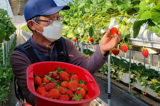충주시, 친환경 전환 농업인에게 보조금 지원