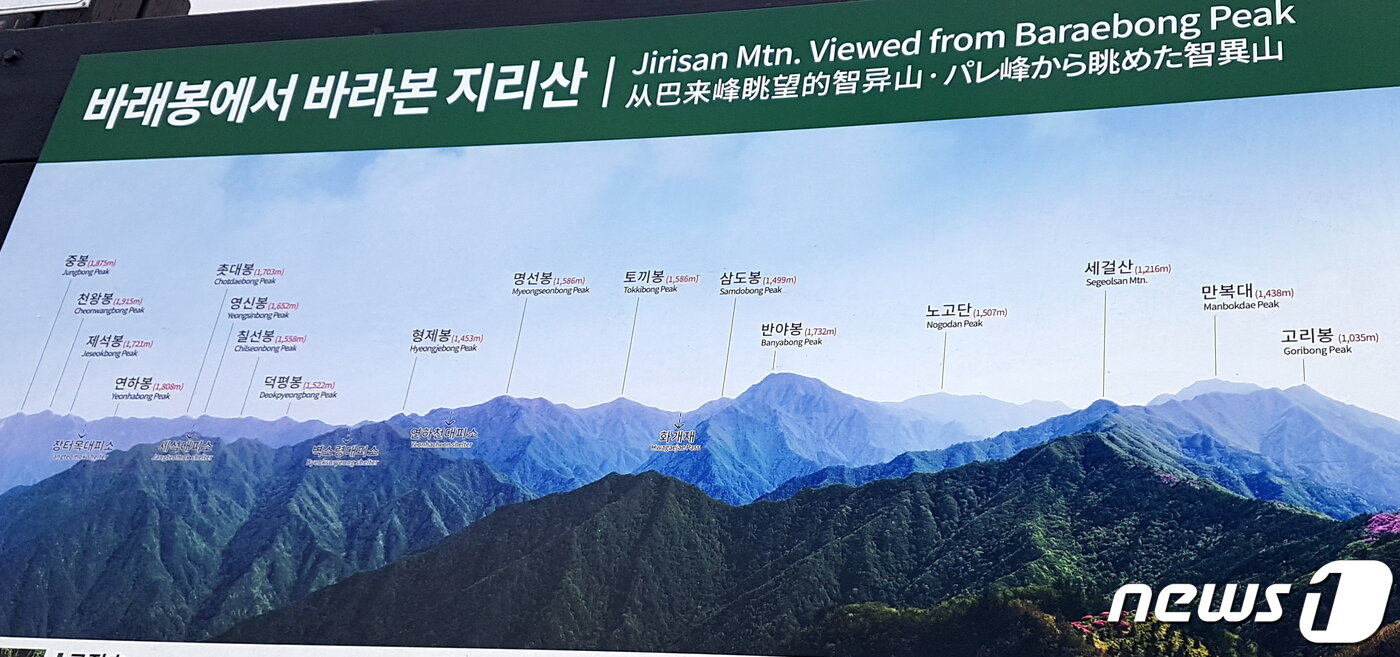 본문 이미지 - 바래봉 경관해설판. 왼쪽과 중앙에 지리산 주능선이 쫙 펼쳐져 있고, 오른쪽에 오늘 가야 할 서북능선이 첩첩하게 이어져 있다. ⓒ 뉴스1