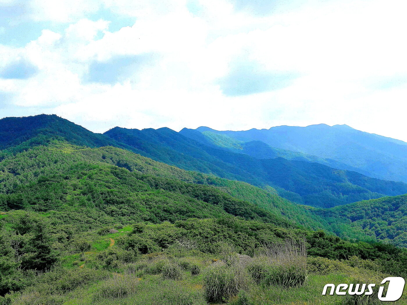 본문 이미지 - 여름의 서북능선. 성삼재 직전의 작은고리봉에서 지나온 서북능선을 조망한다. 십여 개의 봉우리 맨 끝에 바래봉이 보인다. ⓒ 뉴스1