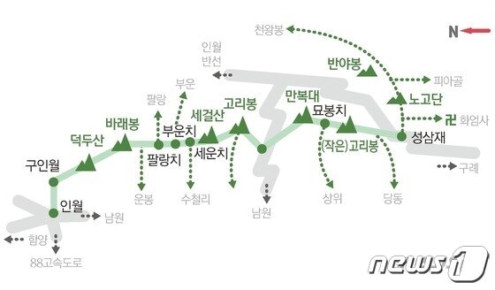 본문 이미지 - ⓒ 뉴스1 김초희 디자이너