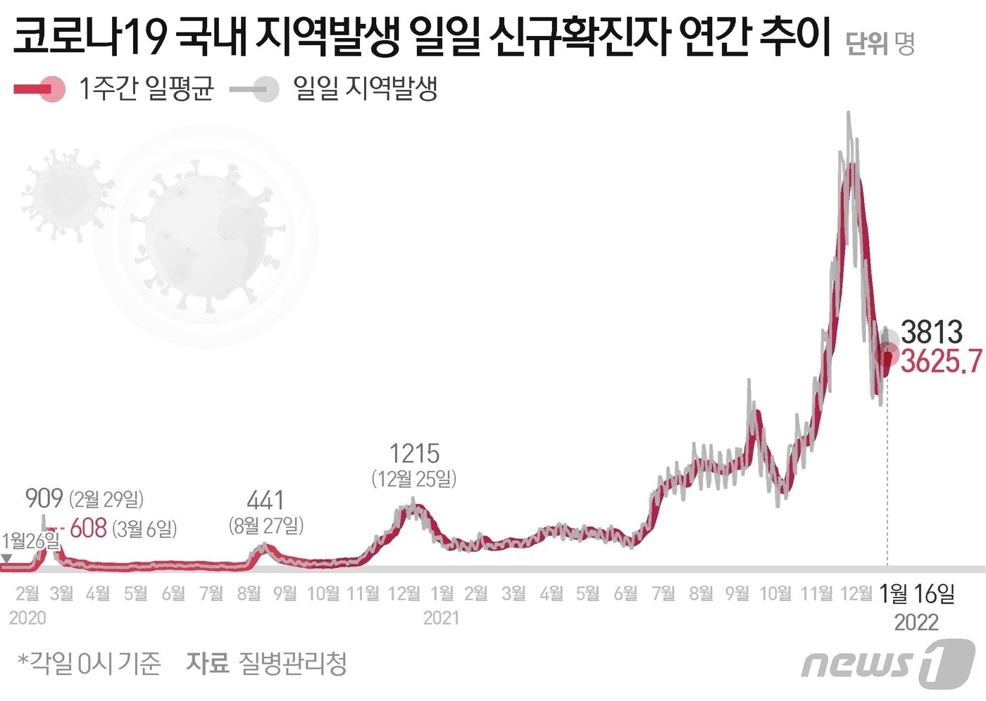 본문 이미지 - ⓒ News1 이지원 디자이너