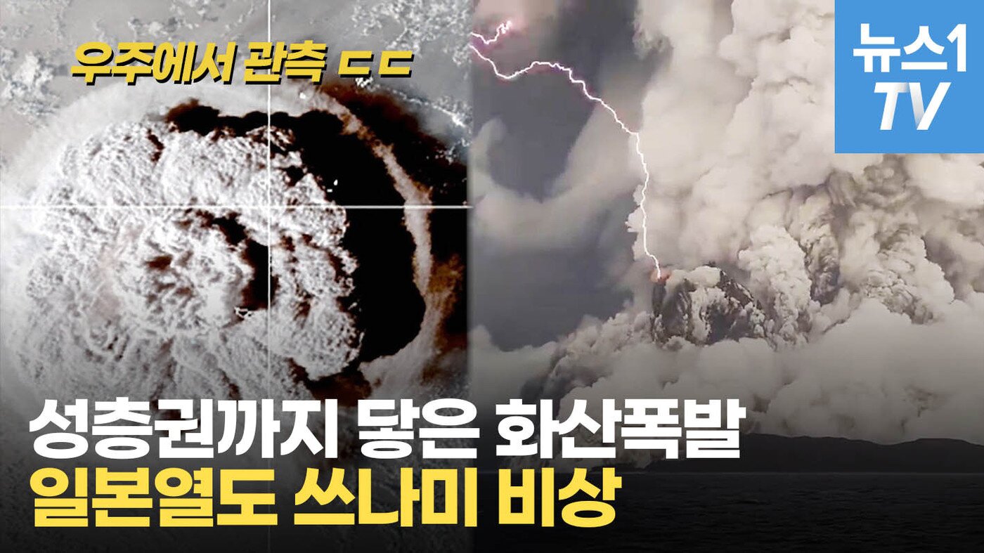 본문 이미지 - ⓒ 뉴스1