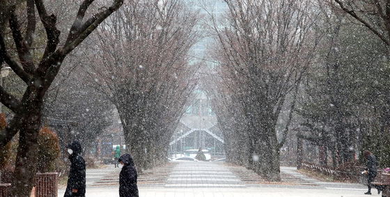 [오늘의 날씨] 대전·충남(13일, 토)…가끔 비 또는 눈