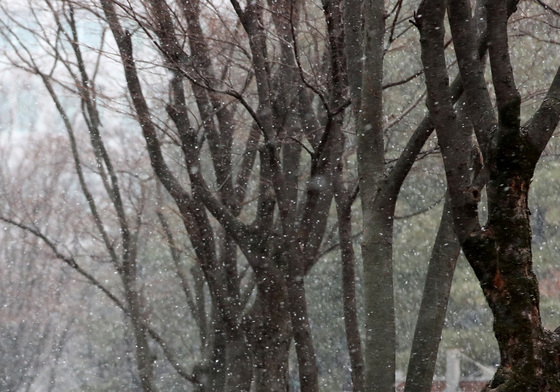 [오늘의 날씨] 대전·충남(31일, 수)…새벽 약한 눈