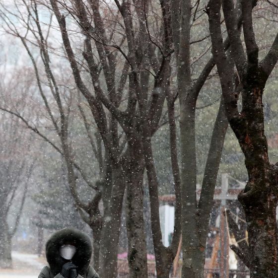 [오늘의 날씨] 대전·충남(13일, 금)…비 또는 눈, 도로 살얼음 조심