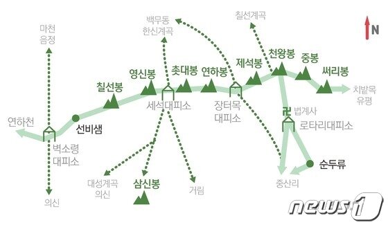 본문 이미지 - ⓒ 뉴스1 김초희 디자이너