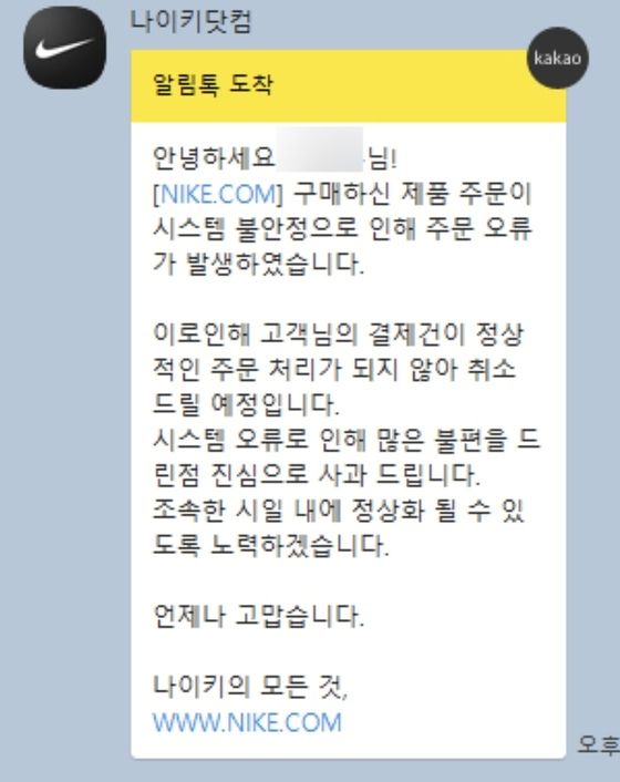 단독]나이키 '더 드로우' 시스템 오류…일방적 당첨 취소에 소비자 '분통' - 뉴스1