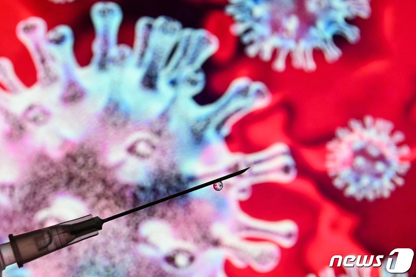 본문 이미지 - 코로나19 오미크론 변이가 전 세계적으로 확산하고 있다. ⓒ AFP=뉴스1 ⓒ News1 정윤영 기자