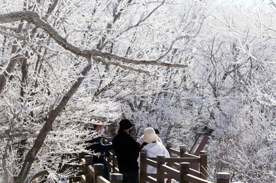 충남 계룡 대설주의보 해제…계룡산 14.2㎝ 적설