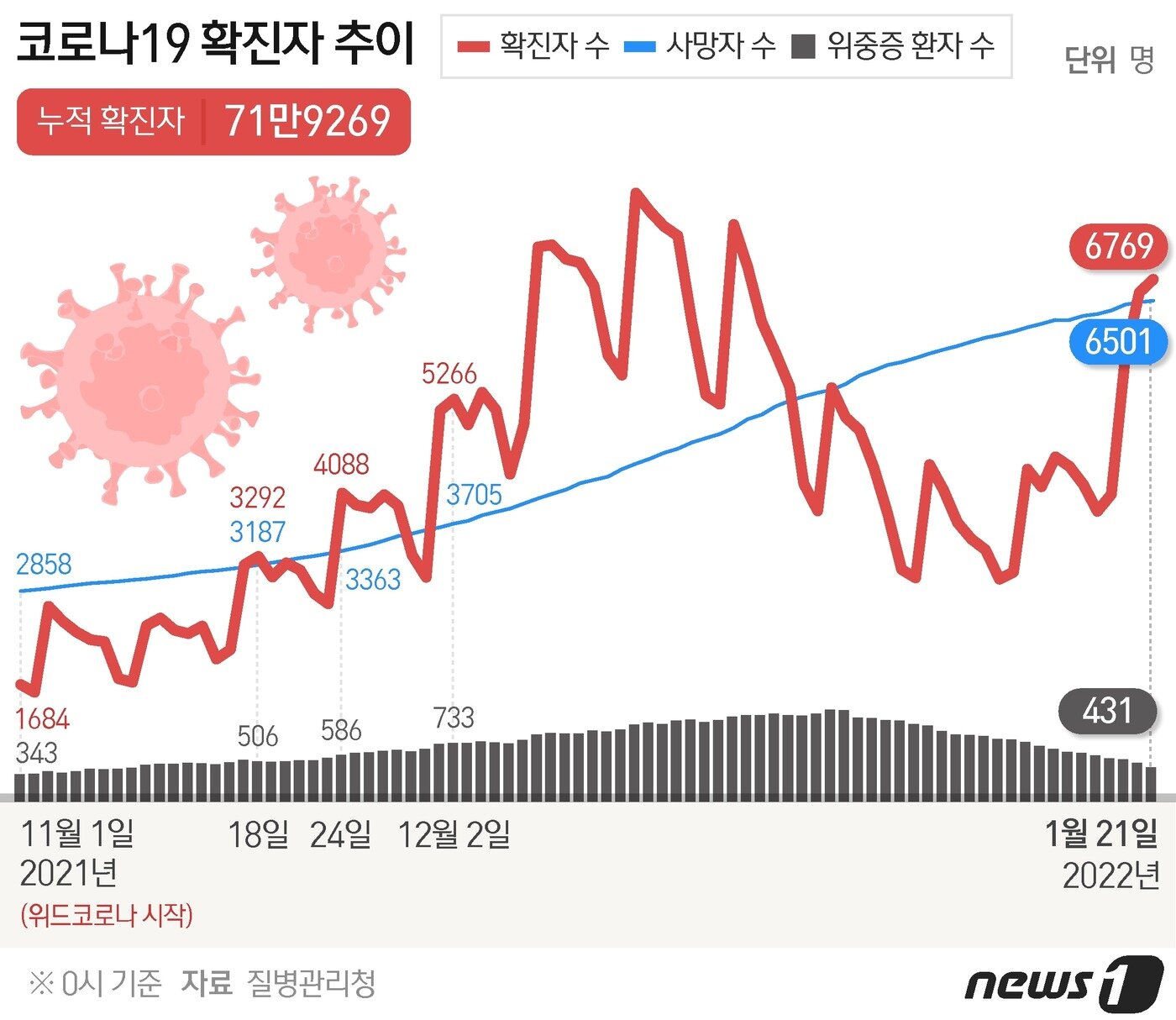 본문 이미지 - ⓒ News1 이지원 디자이너